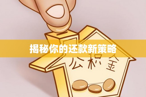 水林揭秘你的还款新策略