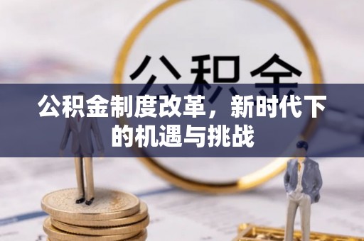水林公积金制度改革，新时代下的机遇与挑战