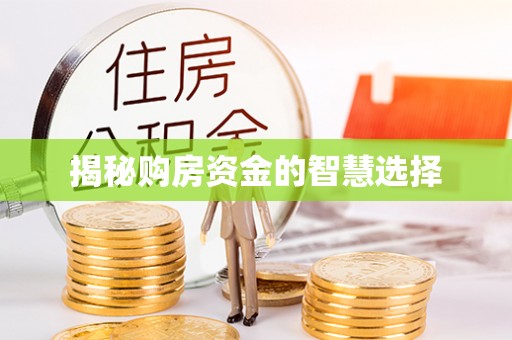 水林揭秘购房资金的智慧选择