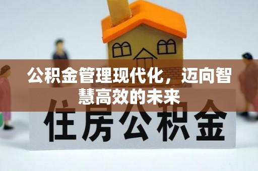 水林公积金管理现代化，迈向智慧高效的未来
