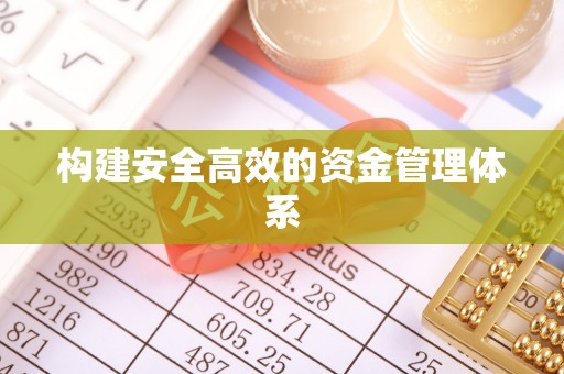 水林构建安全高效的资金管理体系