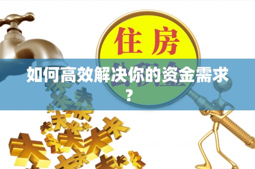 水林如何高效解决你的资金需求？