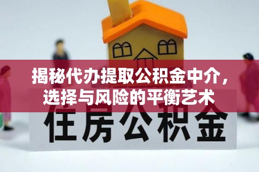 水林揭秘代办提取公积金中介，选择与风险的平衡艺术