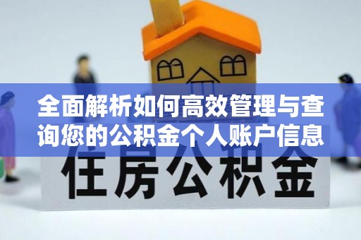 水林全面解析如何高效管理与查询您的公积金个人账户信息