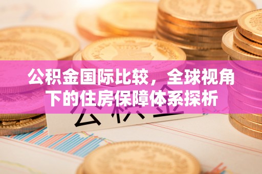 水林公积金国际比较，全球视角下的住房保障体系探析