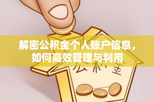 水林解密公积金个人账户信息，如何高效管理与利用