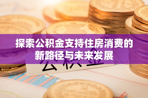 水林探索公积金支持住房消费的新路径与未来发展