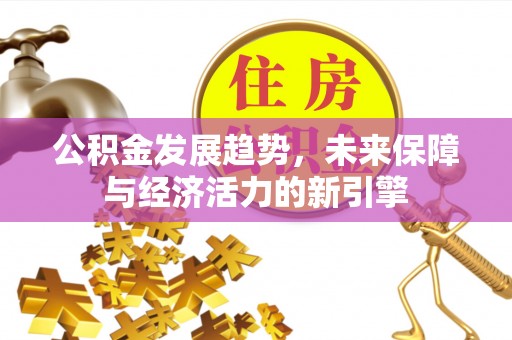 水林公积金发展趋势，未来保障与经济活力的新引擎