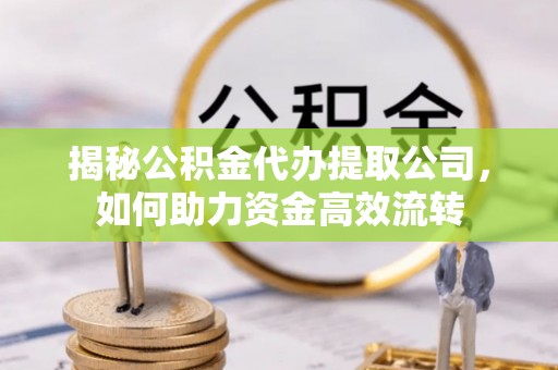 水林揭秘公积金代办提取公司，如何助力资金高效流转