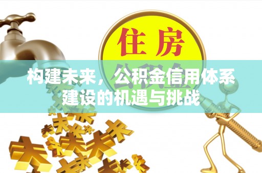 水林构建未来，公积金信用体系建设的机遇与挑战