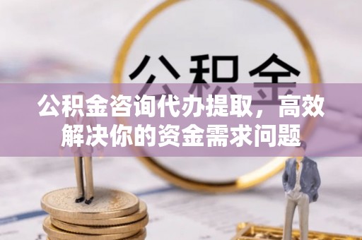 水林公积金咨询代办提取，高效解决你的资金需求问题