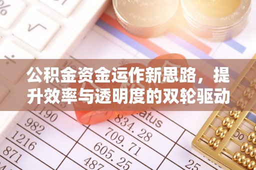 水林公积金资金运作新思路，提升效率与透明度的双轮驱动