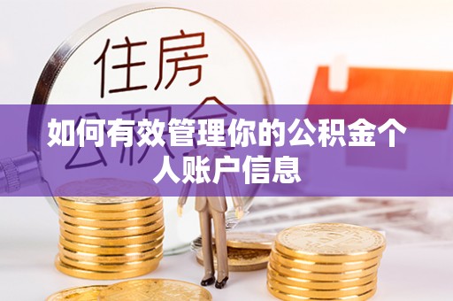 水林如何有效管理你的公积金个人账户信息