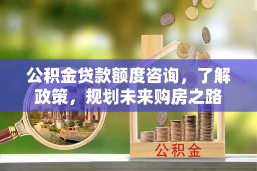水林公积金贷款额度咨询，了解政策，规划未来购房之路