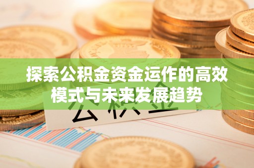 水林探索公积金资金运作的高效模式与未来发展趋势
