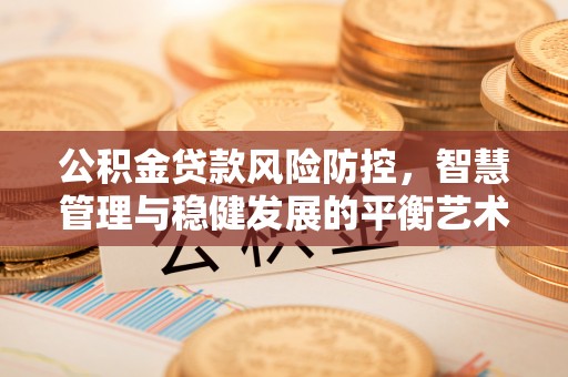 水林公积金贷款风险防控，智慧管理与稳健发展的平衡艺术