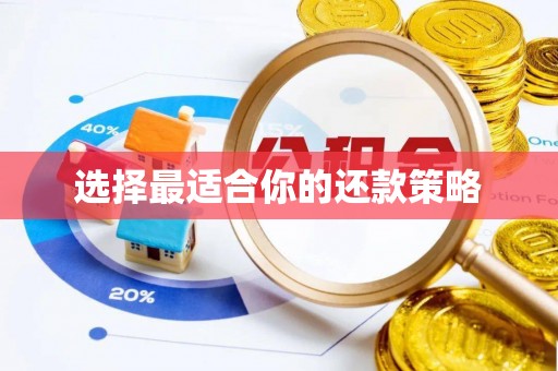 水林选择最适合你的还款策略